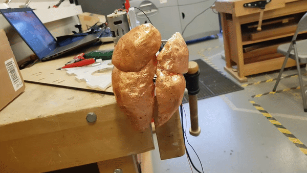 BEAT — the motor and heart mechanism in motion