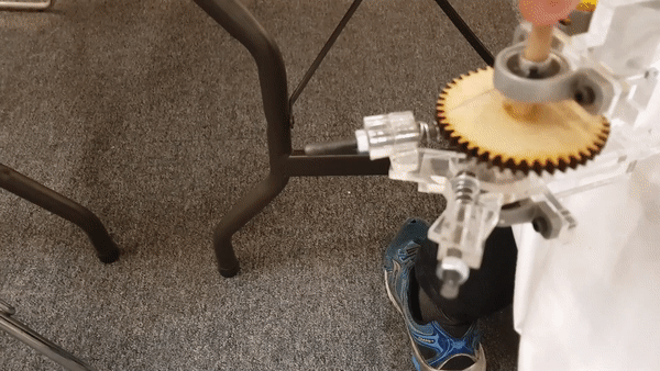 BEAT — animated view of the heart mechanism in motion