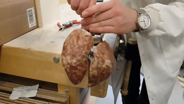 BEAT — animated detail of the mechanism plates